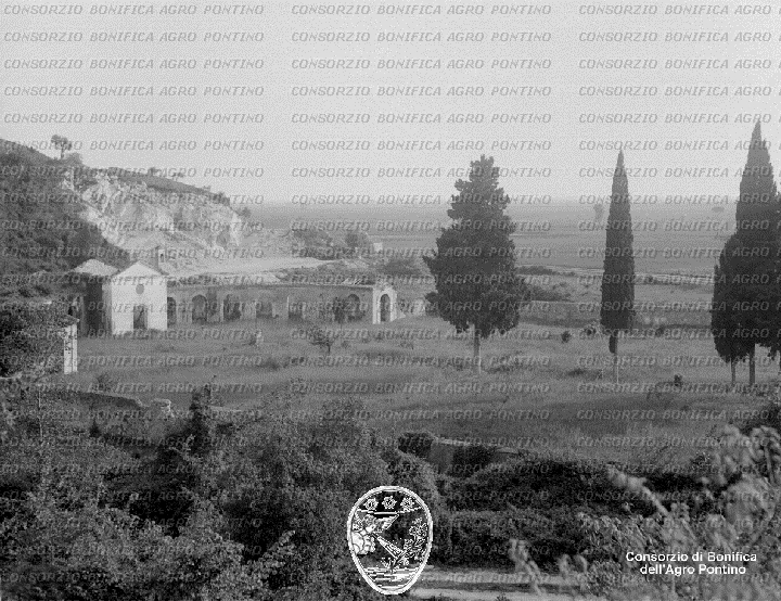 PONTINO/BOR001416.jpg