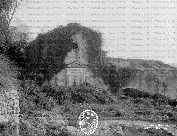 PONTINO/BOR001417.jpg
