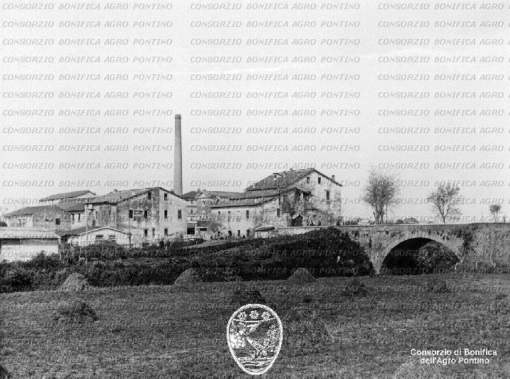 PONTINO/BOR001431.jpg