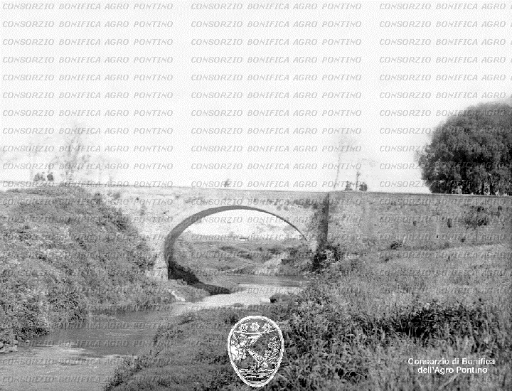 PONTINO/BOR001432.jpg