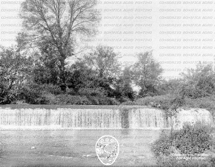PONTINO/BOR001433.jpg