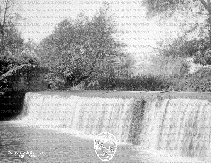 PONTINO/BOR001434.jpg