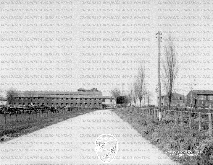 PONTINO/BOR001435.jpg