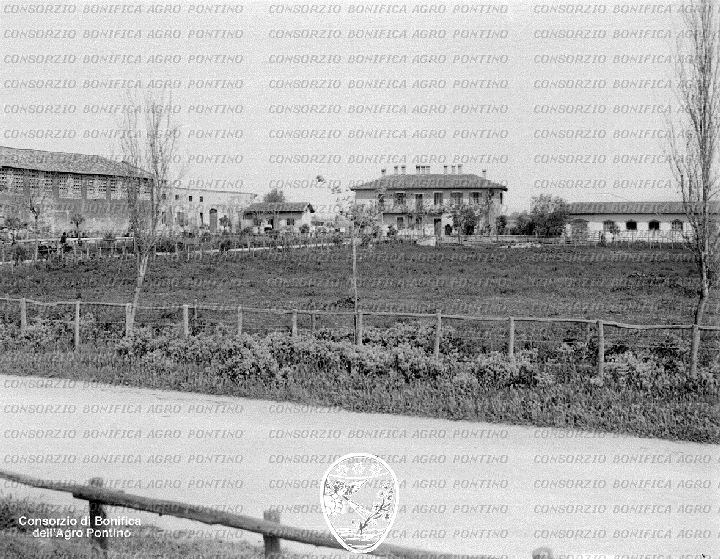 PONTINO/BOR001436.jpg