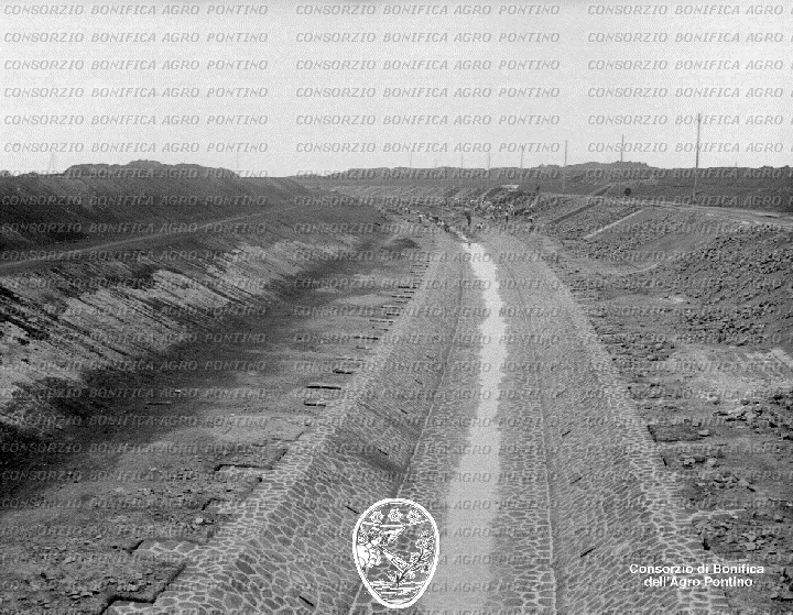 PONTINO/BOR001443.jpg