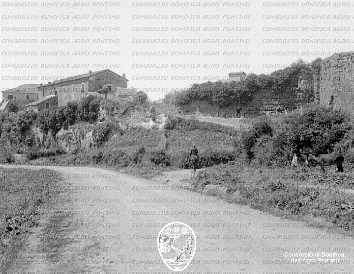 PONTINO/BOR001476.jpg