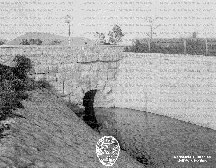 PONTINO/BOR001503.jpg