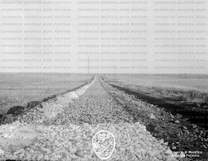 PONTINO/BOR001530.jpg