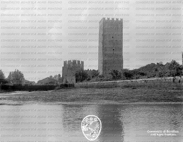 PONTINO/BOR001543.jpg