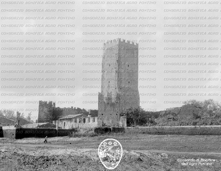 PONTINO/BOR001544.jpg