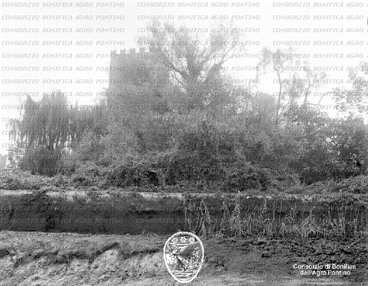 PONTINO/BOR001546.jpg