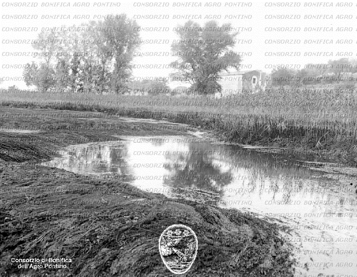 PONTINO/BOR001548.jpg
