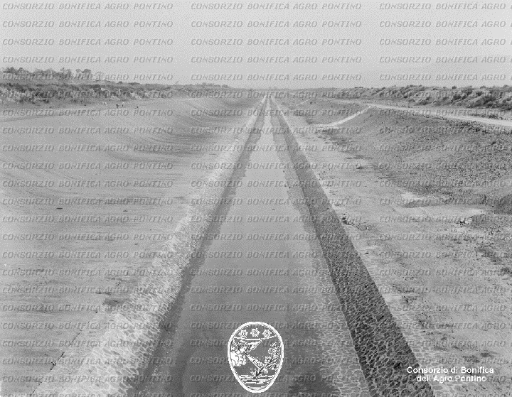 PONTINO/BOR001554.jpg