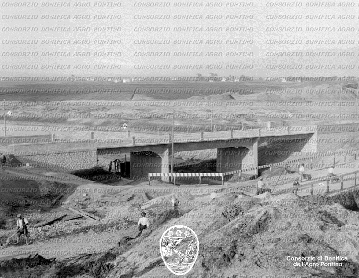 PONTINO/BOR001556.jpg