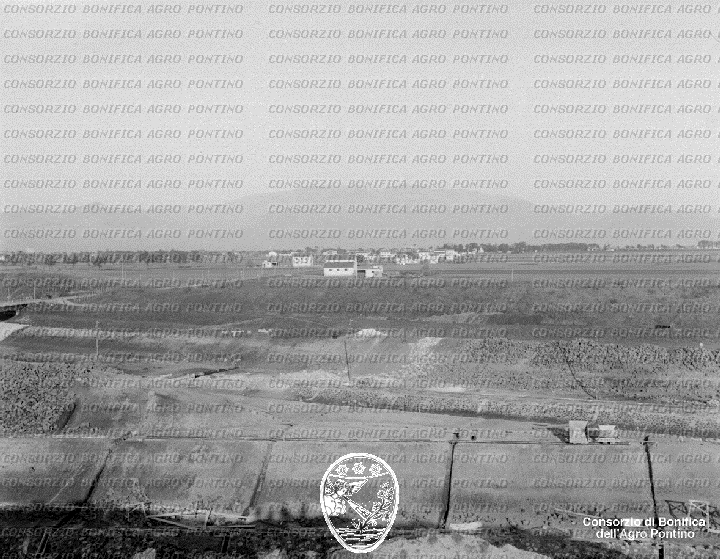 PONTINO/BOR001557.jpg