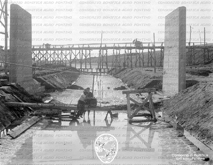 PONTINO/BOR001559.jpg