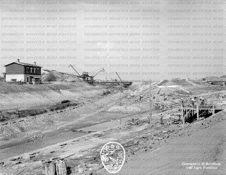 PONTINO/BOR001568.jpg