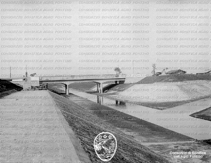 PONTINO/BOR001575.jpg