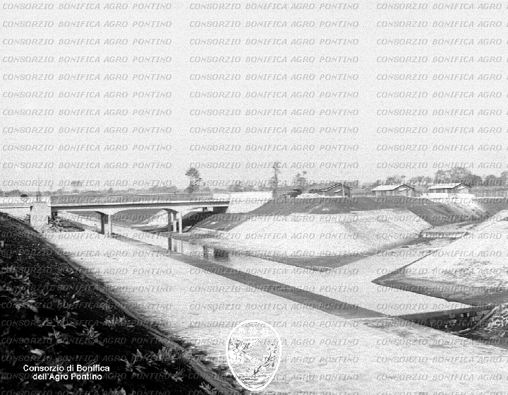 PONTINO/BOR001576.jpg