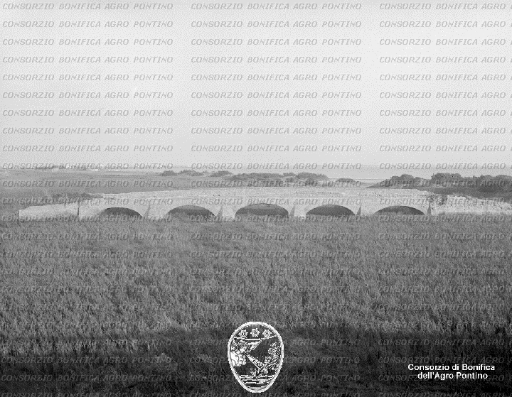 PONTINO/BOR001577.jpg