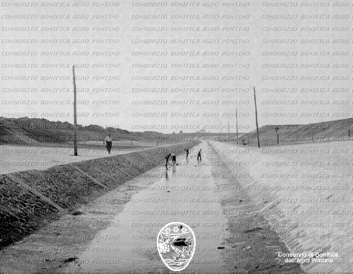 PONTINO/BOR001579.jpg