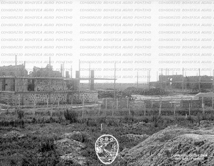 PONTINO/BOR001582.jpg