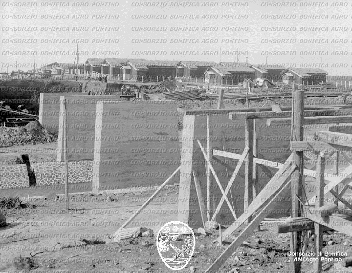 PONTINO/BOR001587.jpg