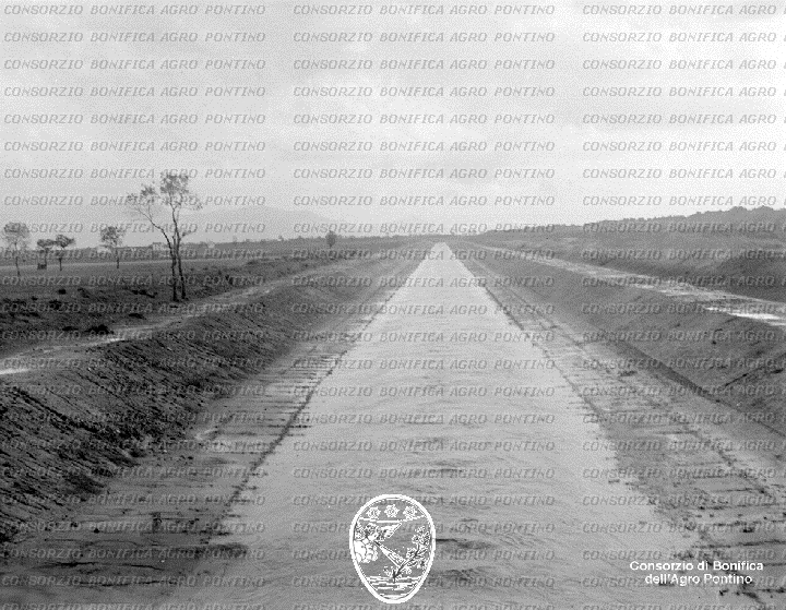 PONTINO/BOR001588.jpg