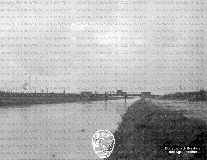 PONTINO/BOR001589.jpg