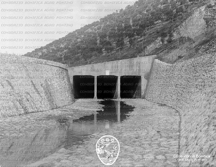 PONTINO/BOR001592.jpg