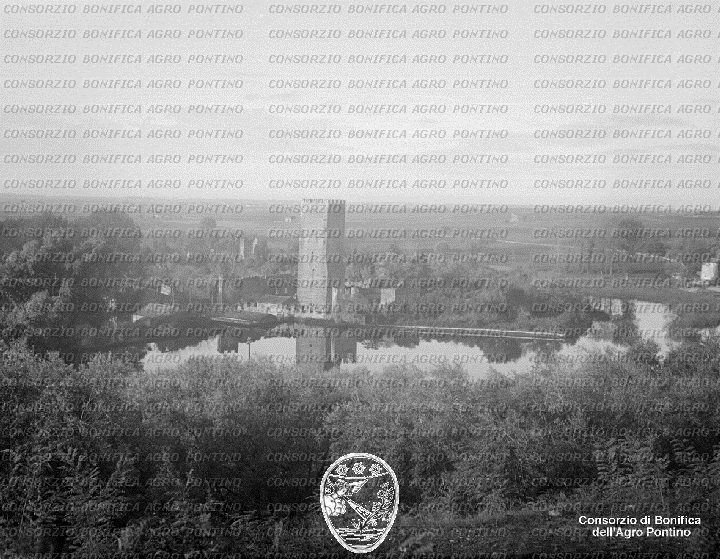 PONTINO/BOR001593.jpg