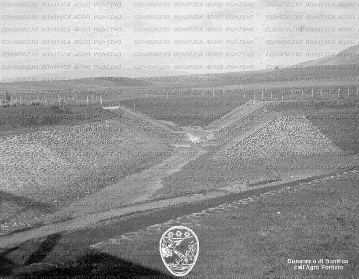 PONTINO/BOR001595.jpg