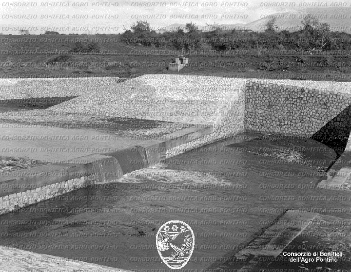 PONTINO/BOR001598.jpg