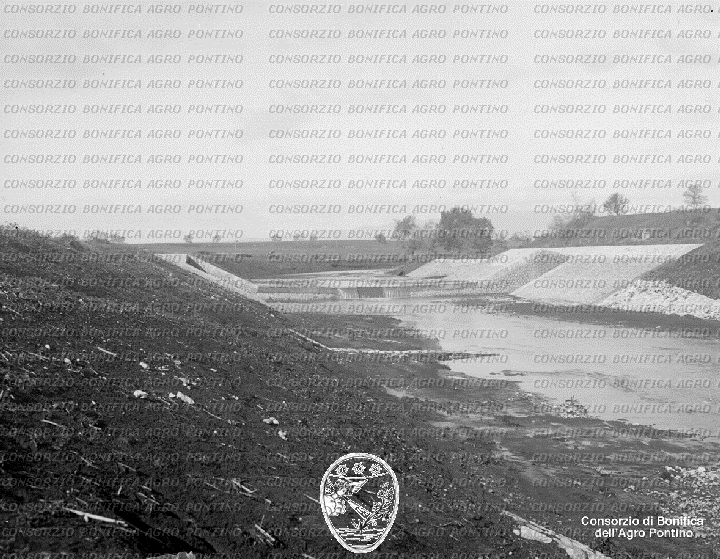PONTINO/BOR001599.jpg