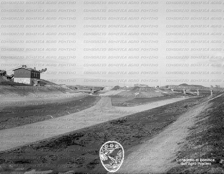 PONTINO/BOR001600.jpg