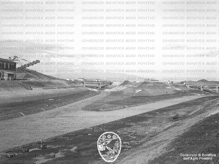 PONTINO/BOR001601.jpg
