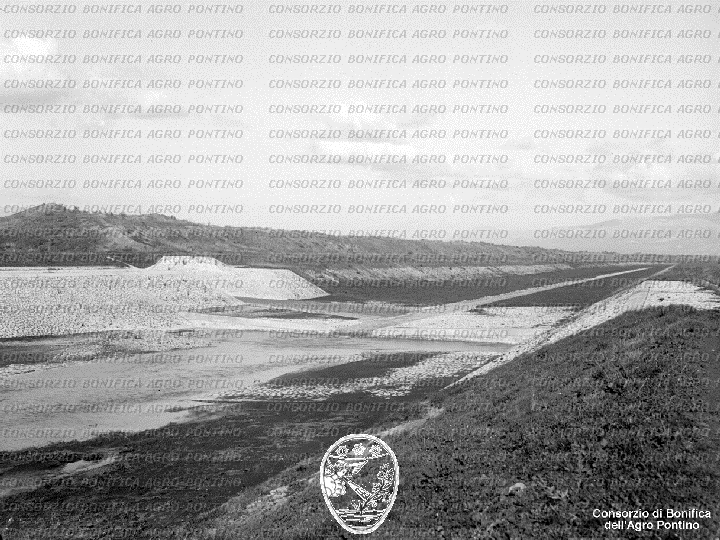 PONTINO/BOR001602.jpg