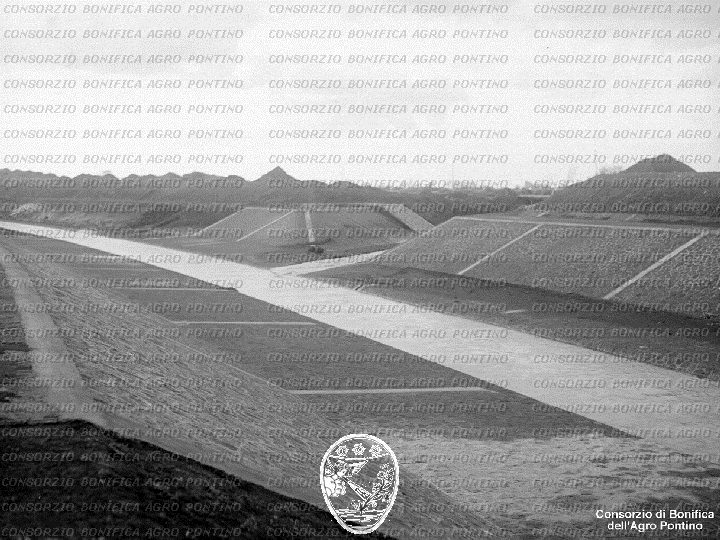 PONTINO/BOR001603.jpg