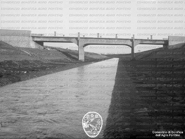PONTINO/BOR001604.jpg