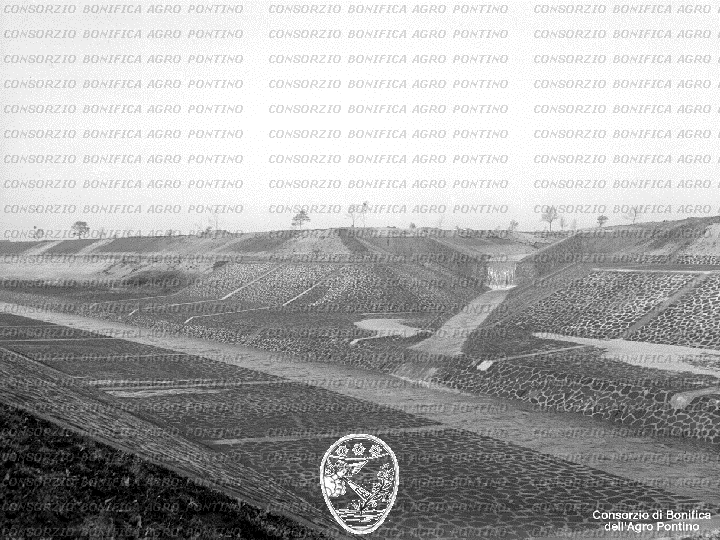 PONTINO/BOR001605.jpg