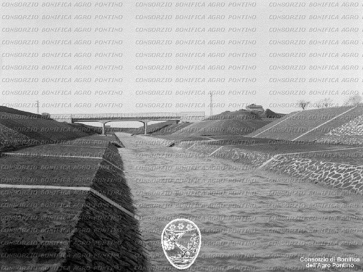 PONTINO/BOR001608.jpg