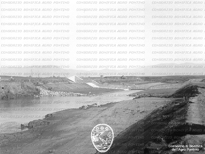 PONTINO/BOR001609.jpg