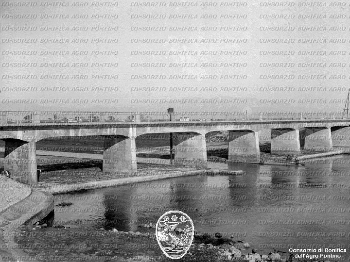 PONTINO/BOR001613.jpg
