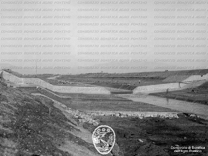 PONTINO/BOR001614.jpg