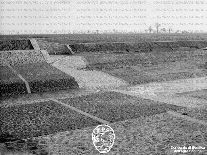 PONTINO/BOR001615.jpg