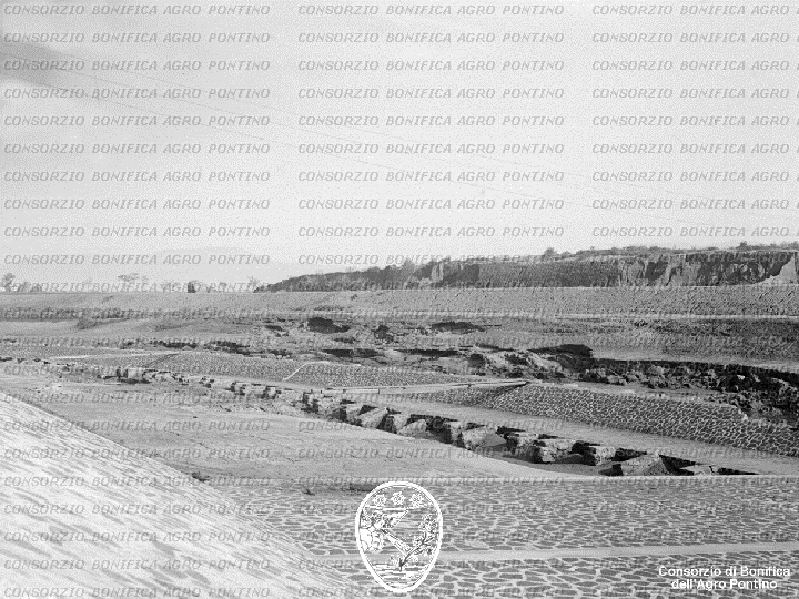 PONTINO/BOR001621.jpg