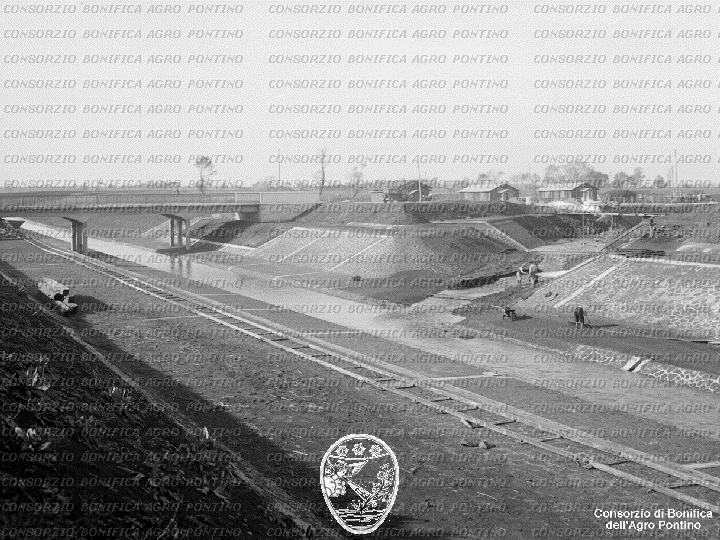 PONTINO/BOR001623.jpg