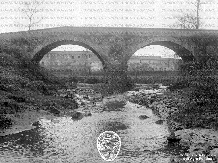 PONTINO/BOR001624.jpg