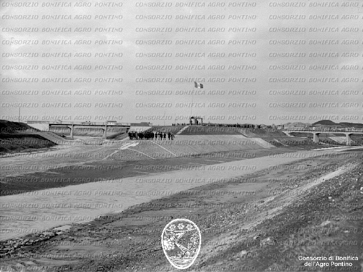 PONTINO/BOR001629.jpg