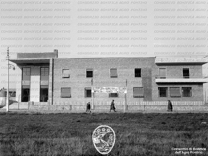 PONTINO/BOR001632.jpg